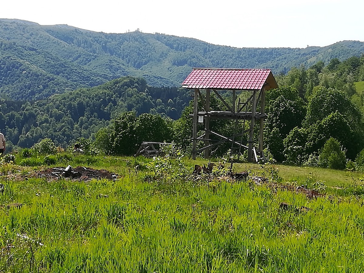 Photo of Transluncani