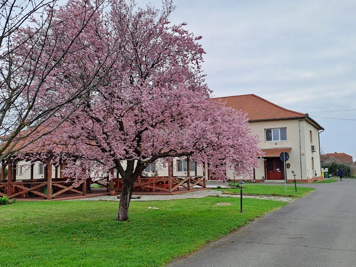 Photo of Vila (turistica)Zoppas Inn