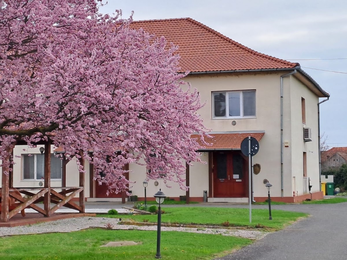 Photo of Vila (turistica)Zoppas Inn