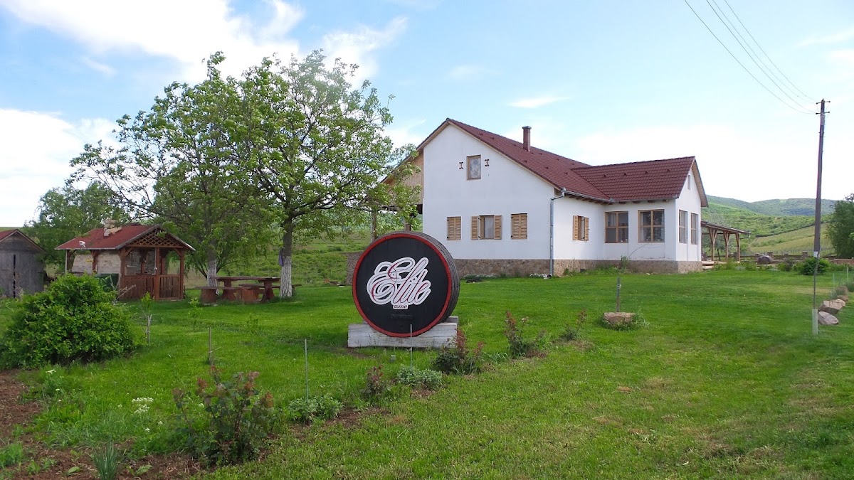Photo of Crama Elite Wine