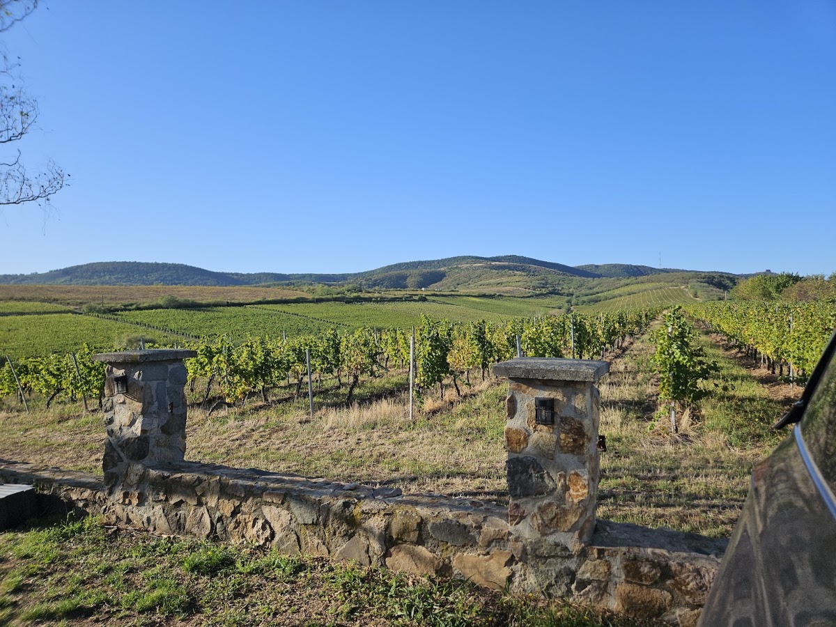 Photo of Crama Elite Wine