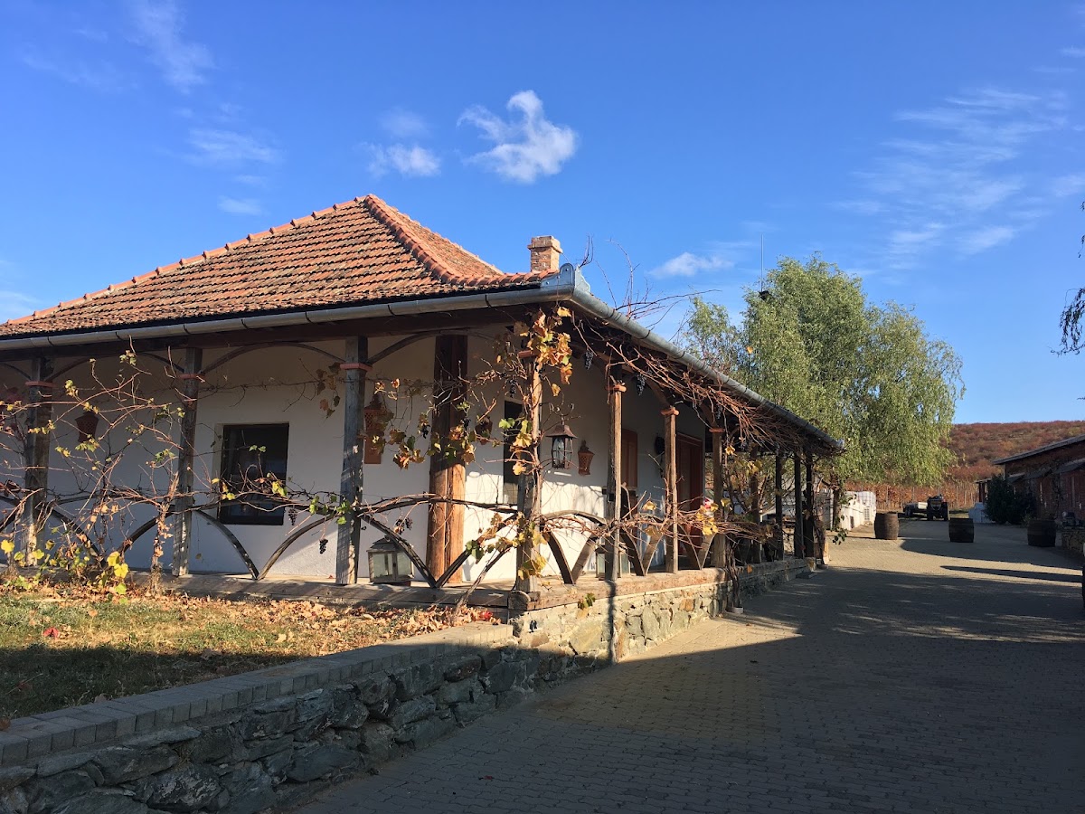Photo of Josef Wines( Ex.Pivnițele Birauas )
