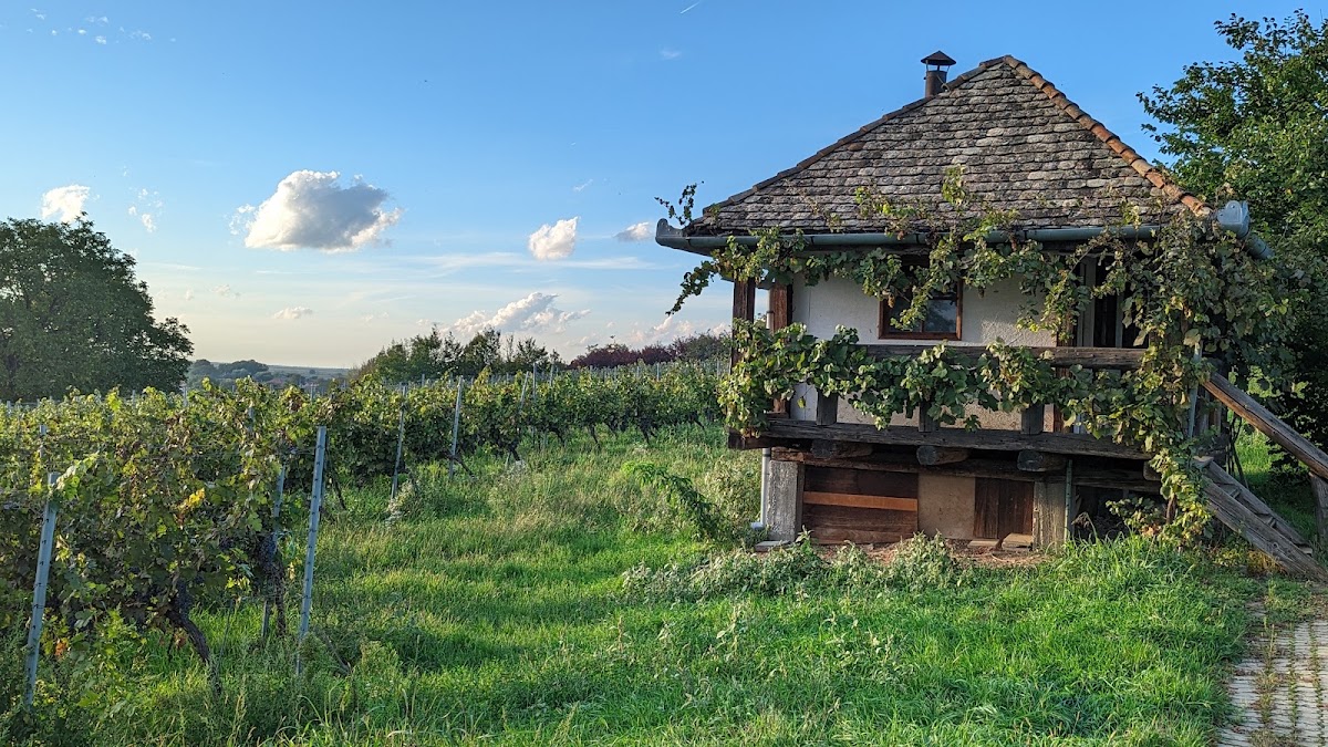 Photo of Josef Wines( Ex.Pivnițele Birauas )
