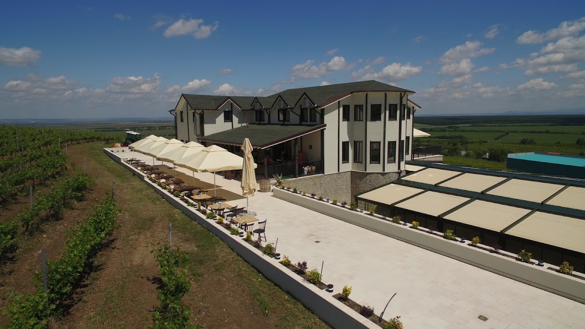 Fotografie de Dealul Dorului Restaurant & Events