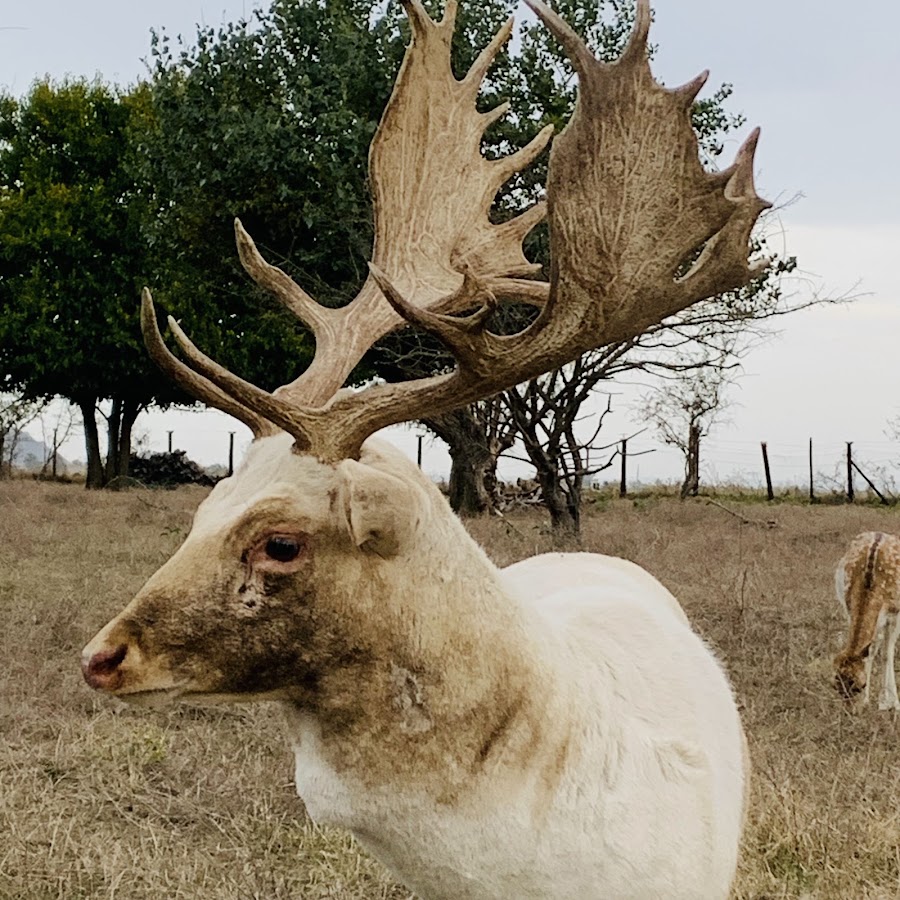 Fotografie de Zoolandarad (Luni-Vineri: Programare pentru grupurile de vizitatori)