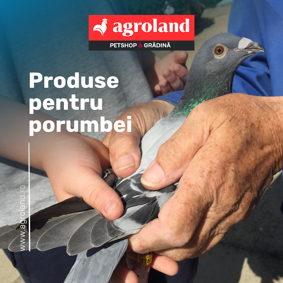 Photo of Agroland Timisoara