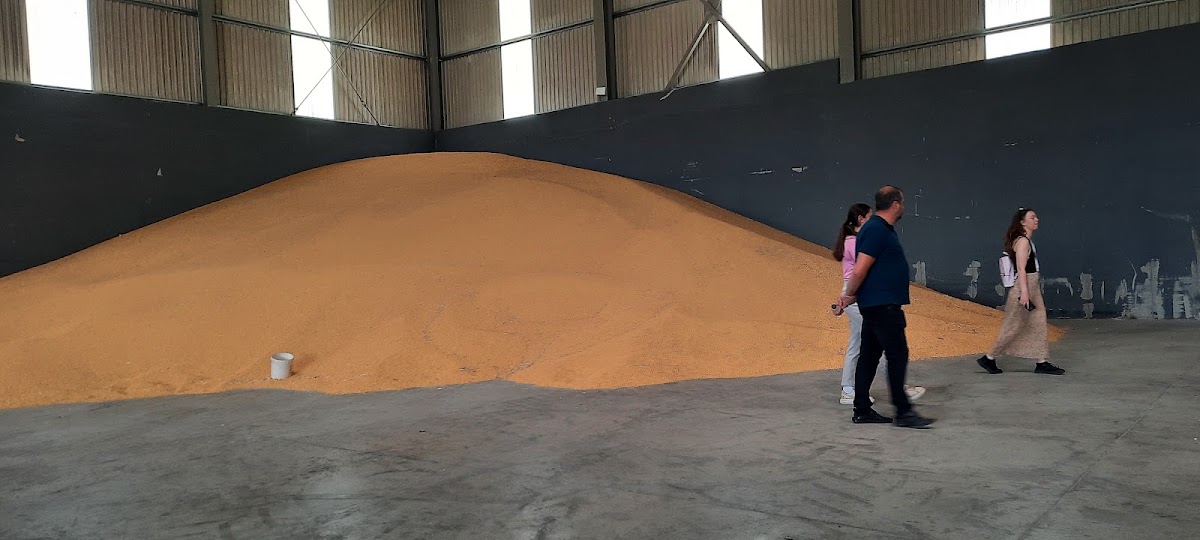 Foto di Procereal Agrosan SRL