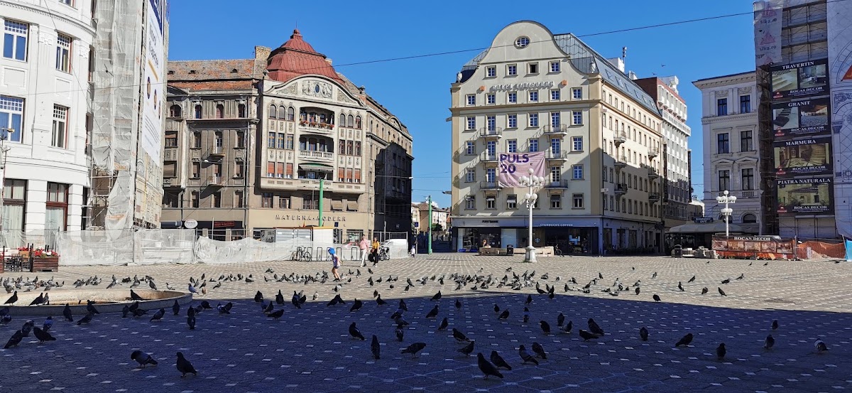 Foto von Materna