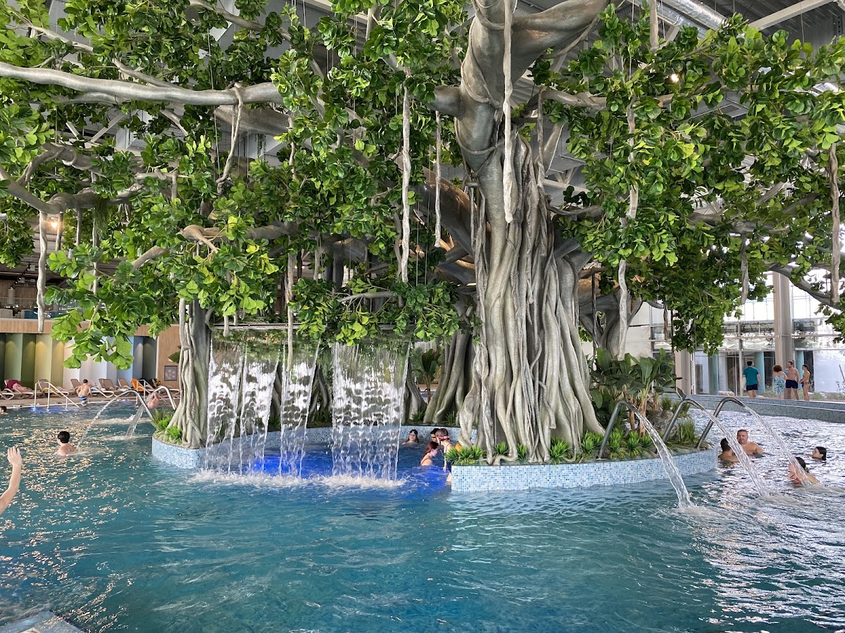 Fotografie de Amazonia Aquapark
