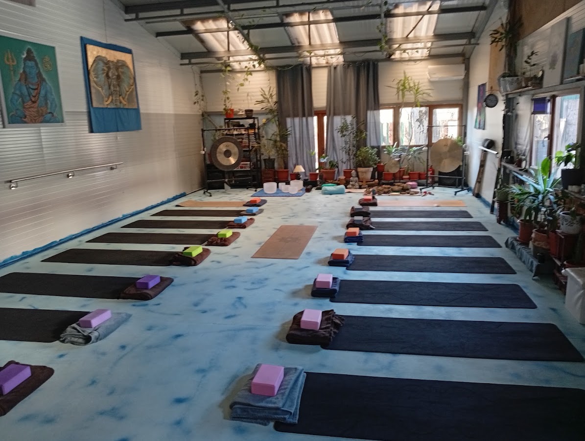 Photo de Blue Lotus Yoga Studio