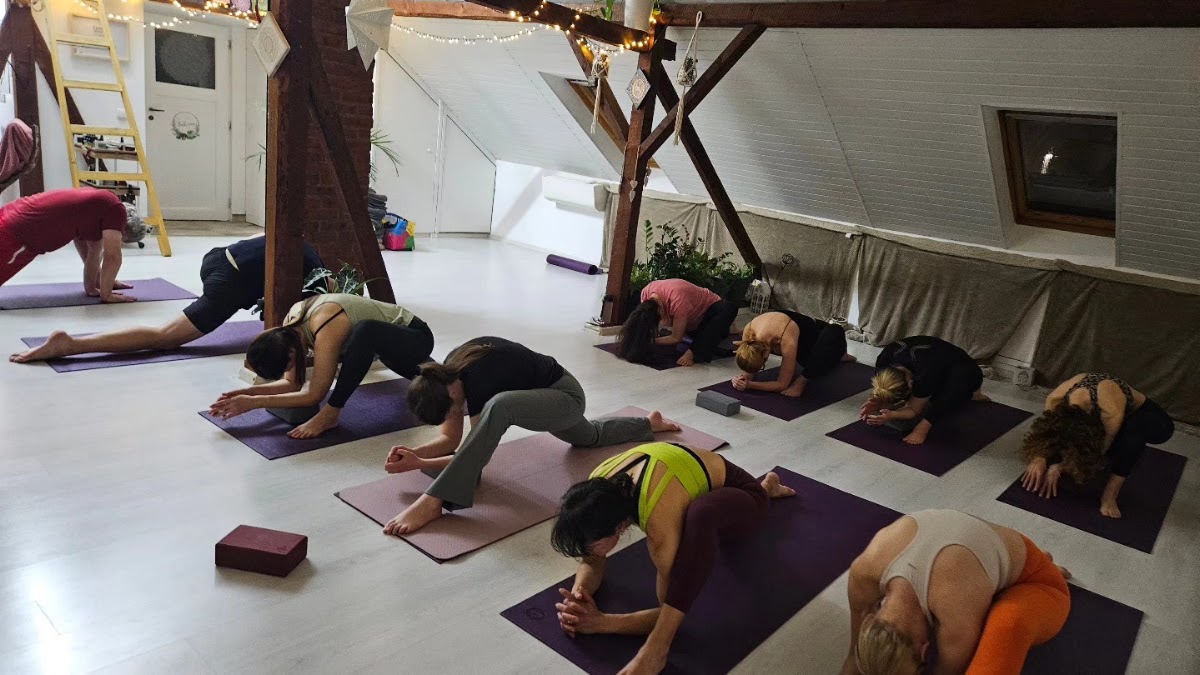Photo of Ahimsa Yoga Timisoara