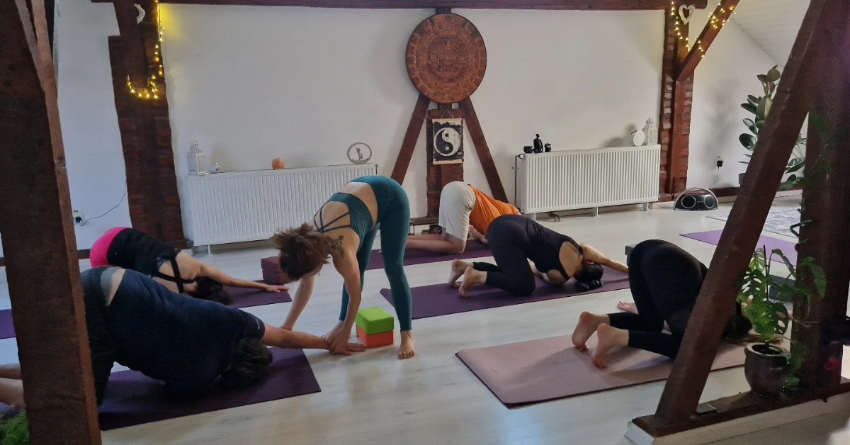 Photo of Ahimsa Yoga Timisoara