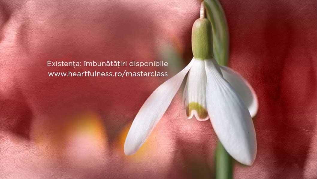 Fotografie de Institutul Heartfulness România