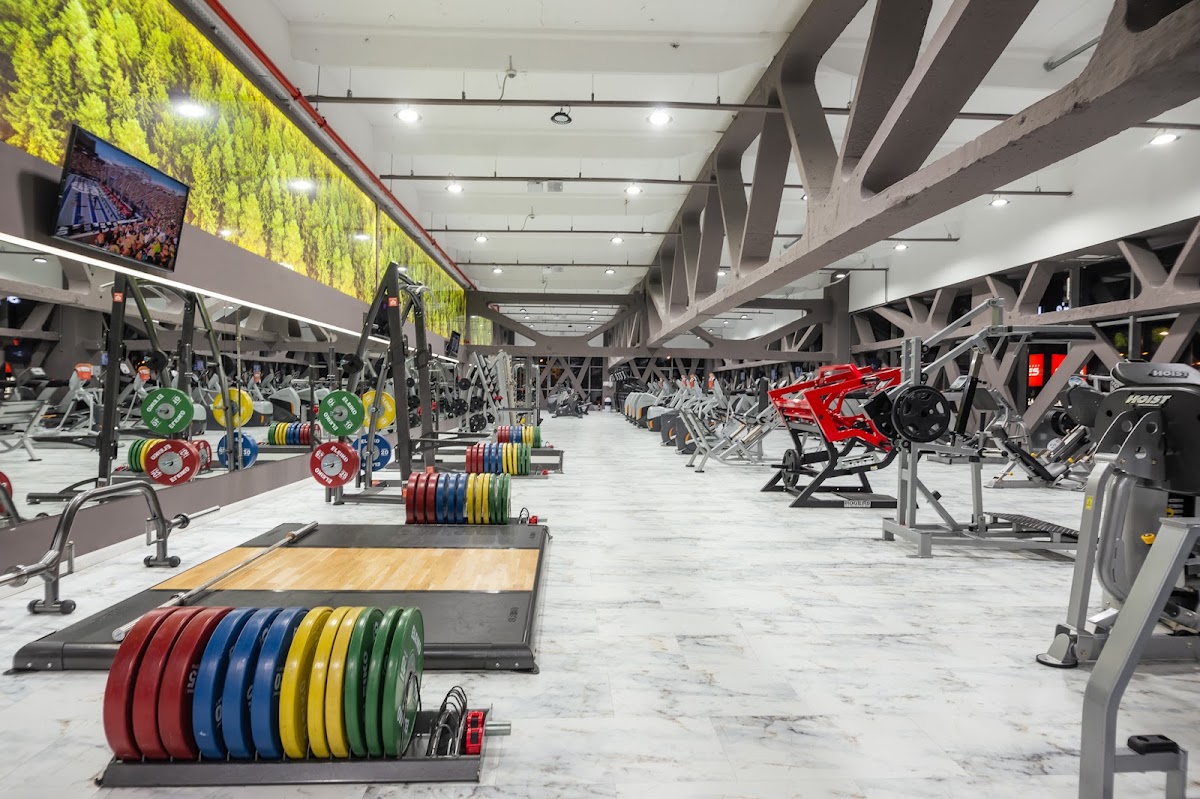 Fotografie cu Gym One 5
