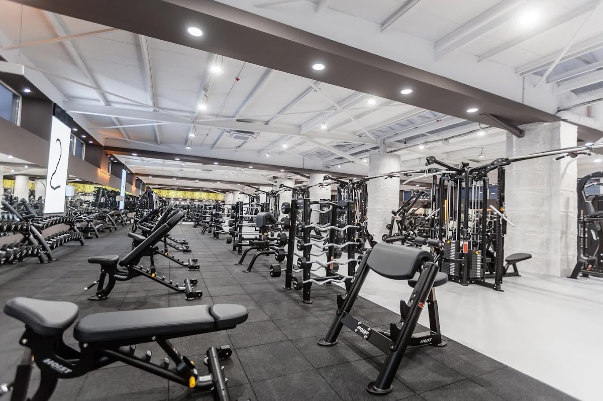 Fotografie cu Gym One 2
