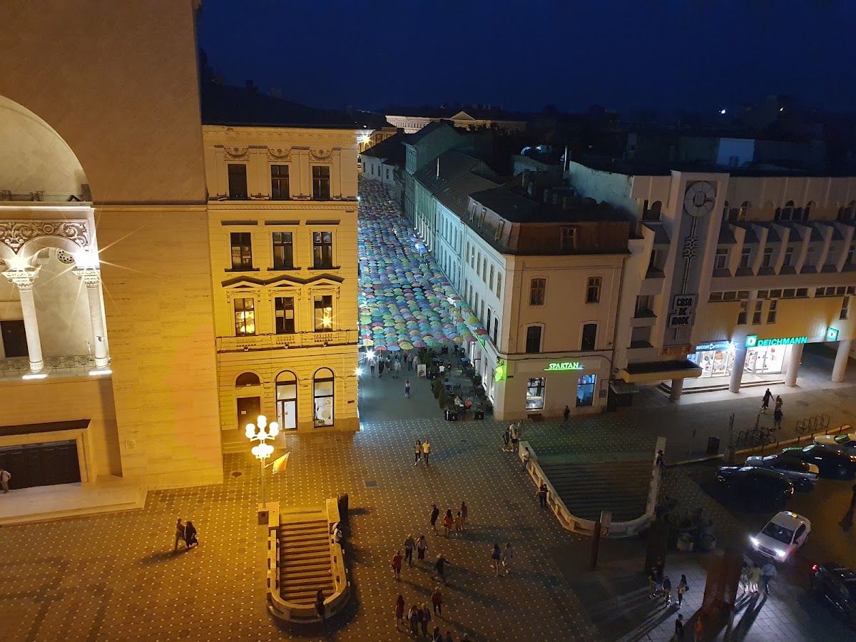 Foto di Opera Națională Română din Timișoara