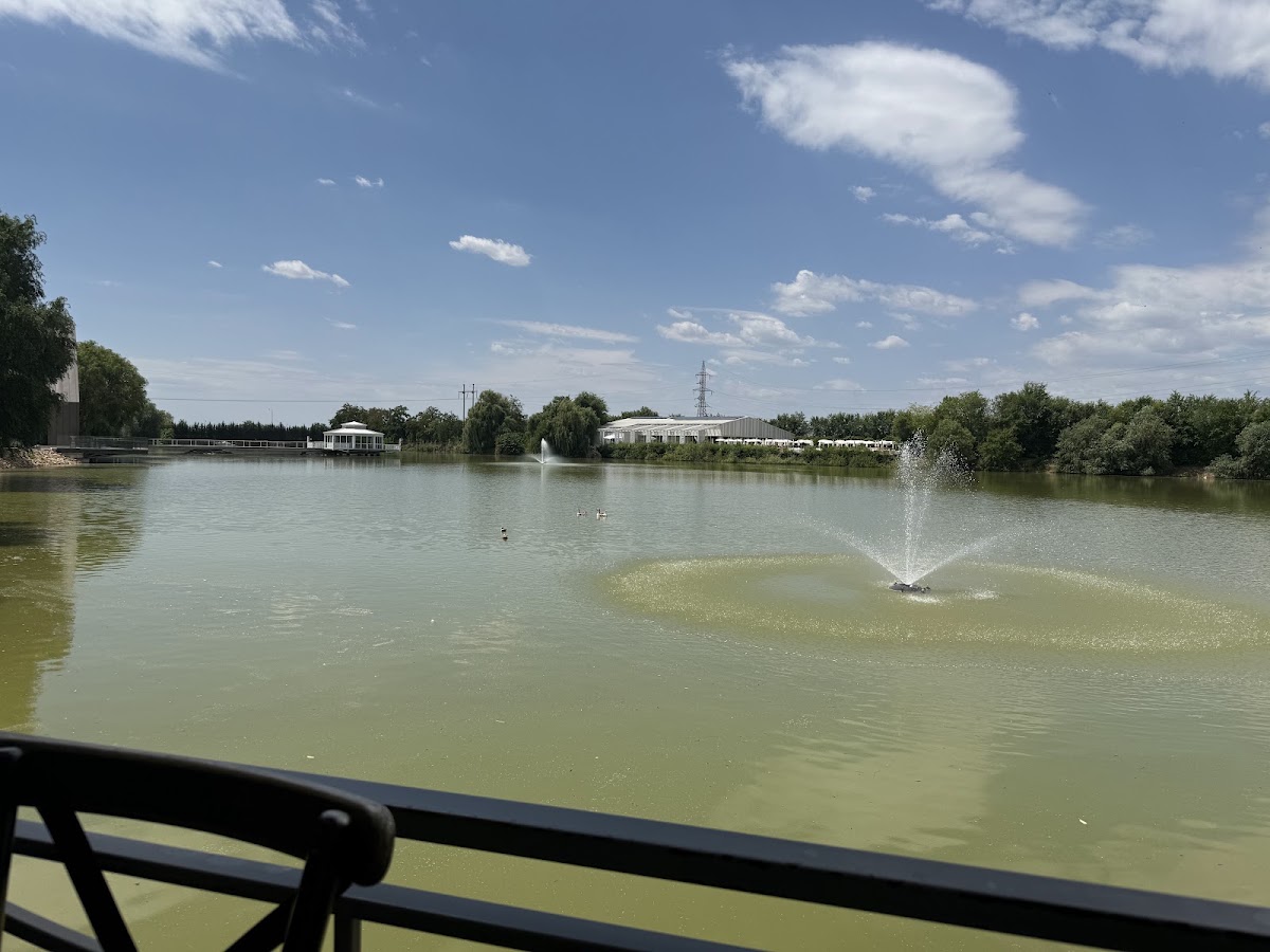 Fotografie de Complex Flonta