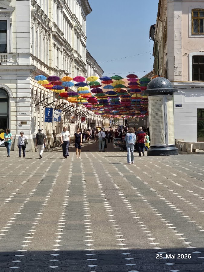 Photo de Cursuri Dans Copii Timisoara