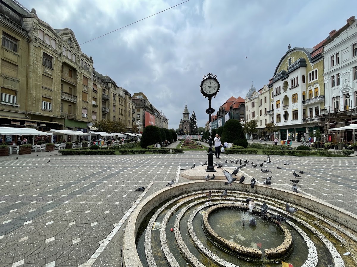 Fotografie de Fântâna cu Pești