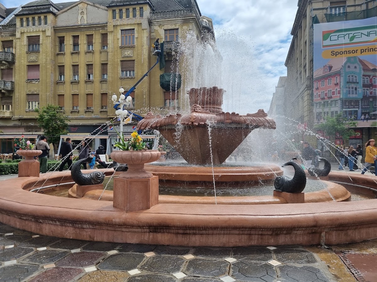 Fotografie de Fântâna cu Pești