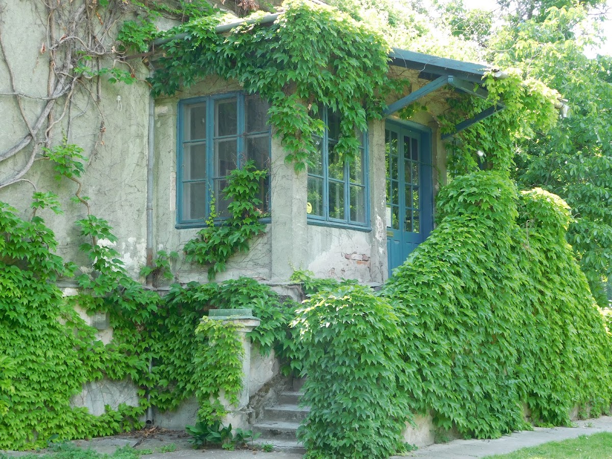 Foto di Casa cu Iederă