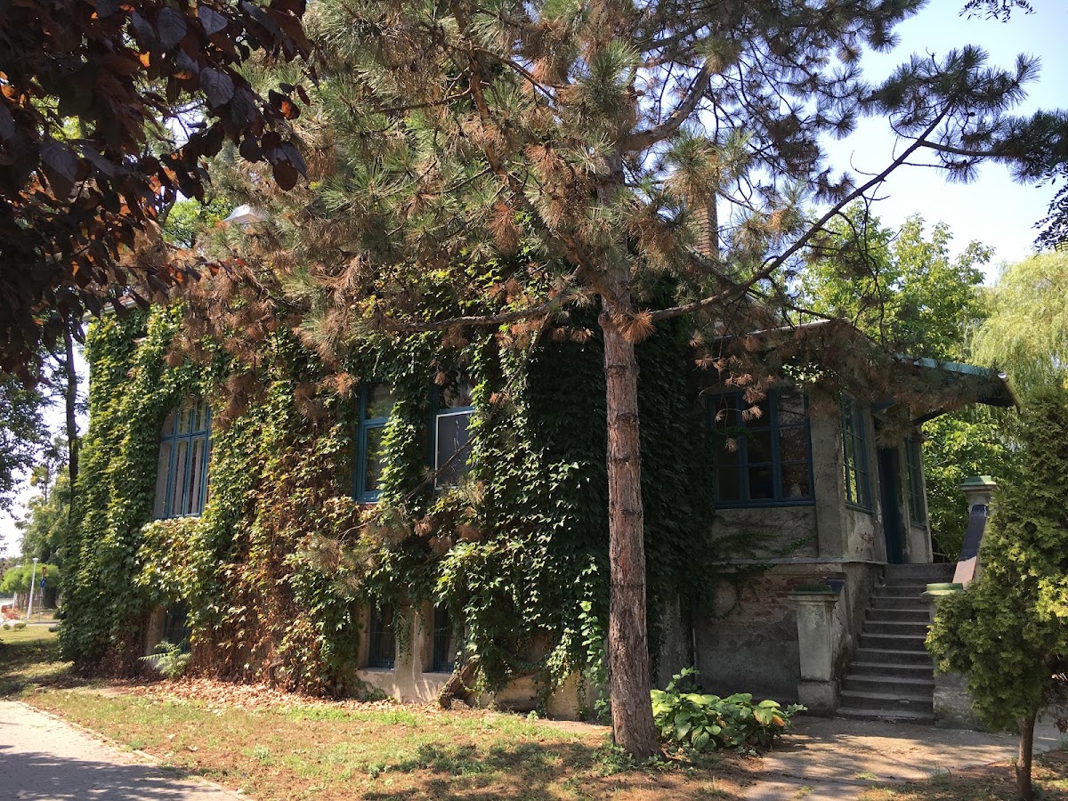 Foto di Casa cu Iederă