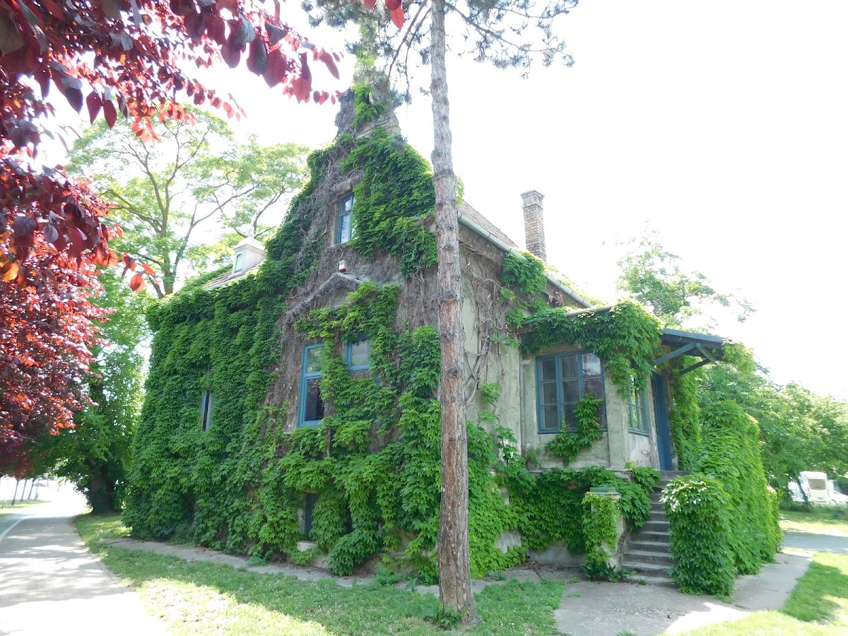 Foto di Casa cu Iederă