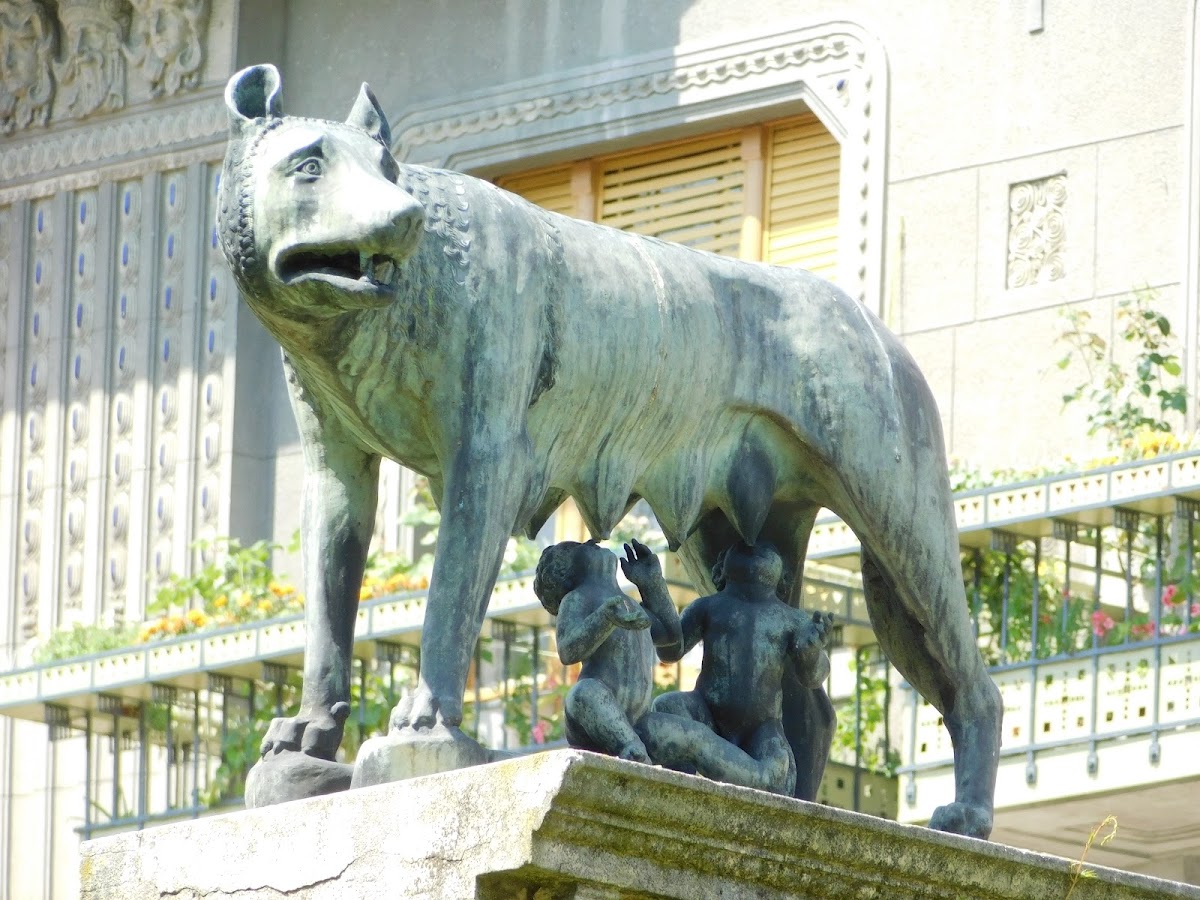 Photo de la Statue de la Louve