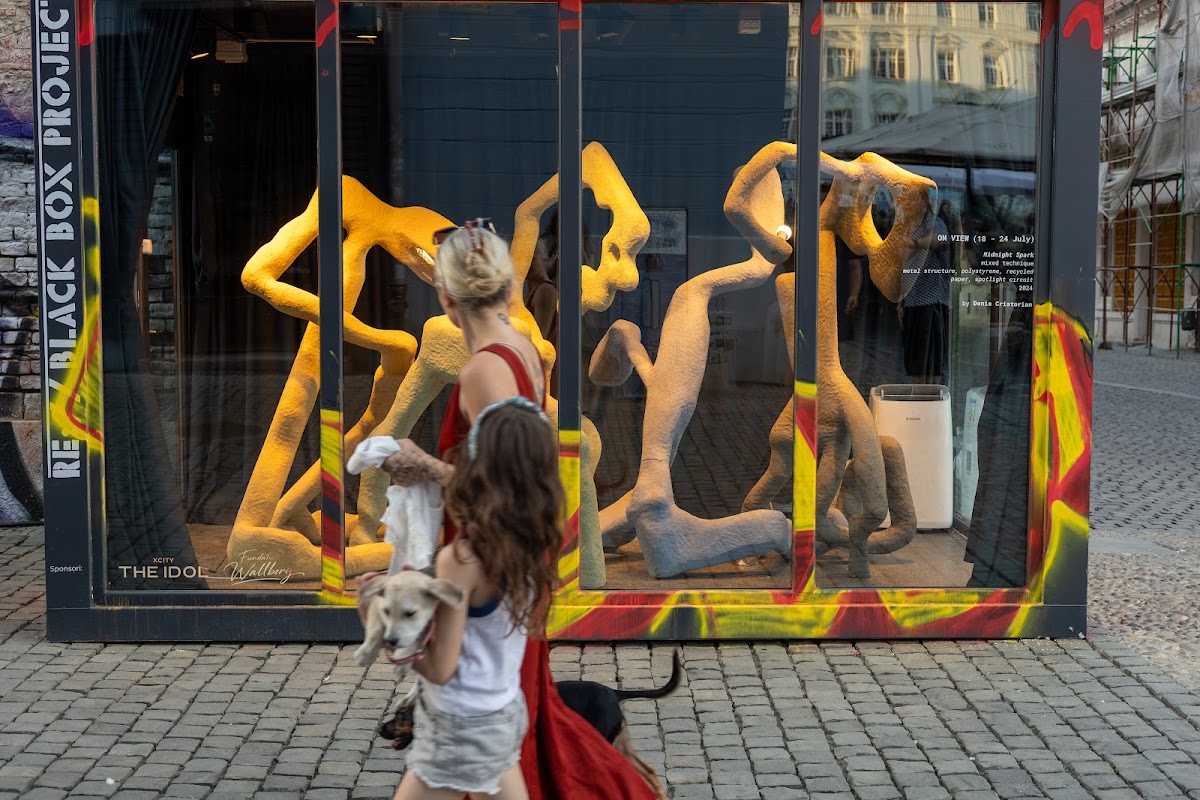 Foto di The Black Box Project - Street Gallery