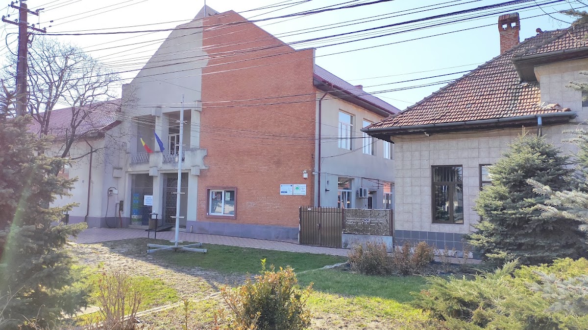 Fotografie de Căminul Cultural