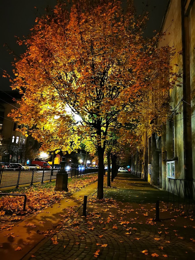 Fotografie de Casa de Cultură a Studenţilor