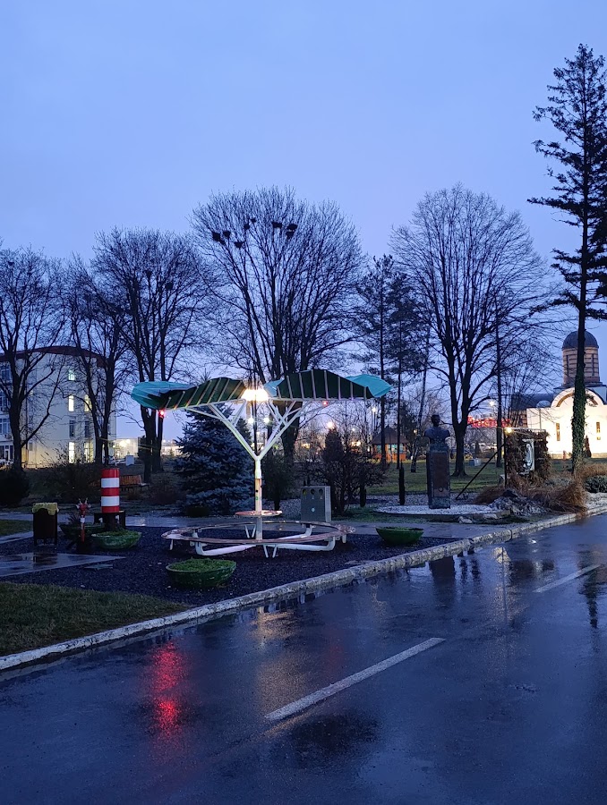 Fotografie de Biblioteca Universitară - USVT