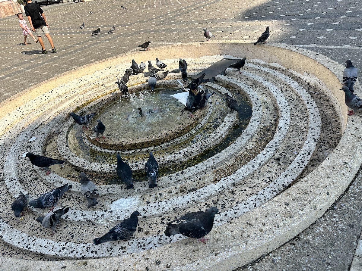 Foto von Fântâna Cosette
