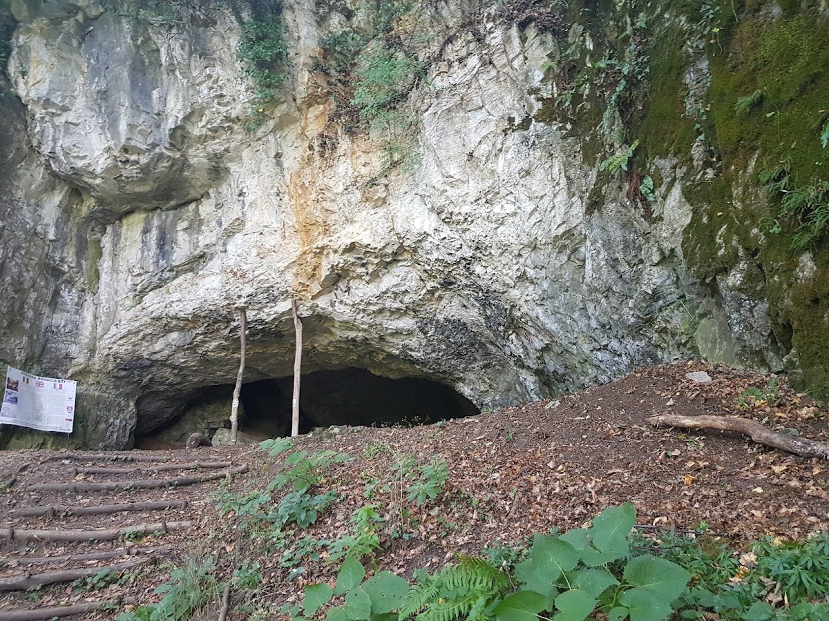 Foto der Höhle Românești