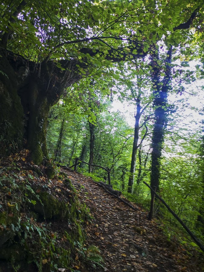 Foto von Peștera Românești