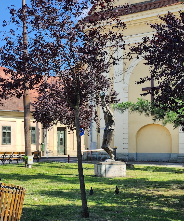 Photo de Monumentul Omul Țintă