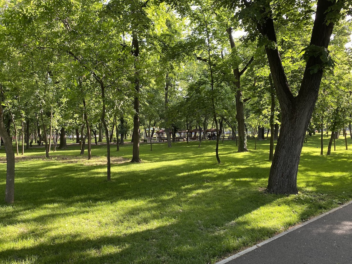 Photo of Monumentul Ostașului Necunoscut