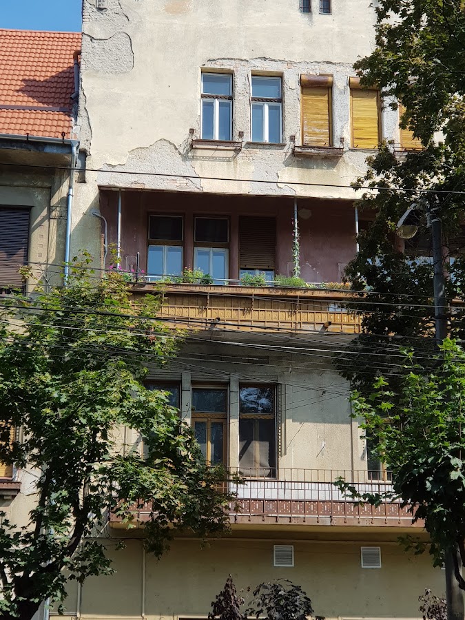 Fotografie de Palatul Székely
