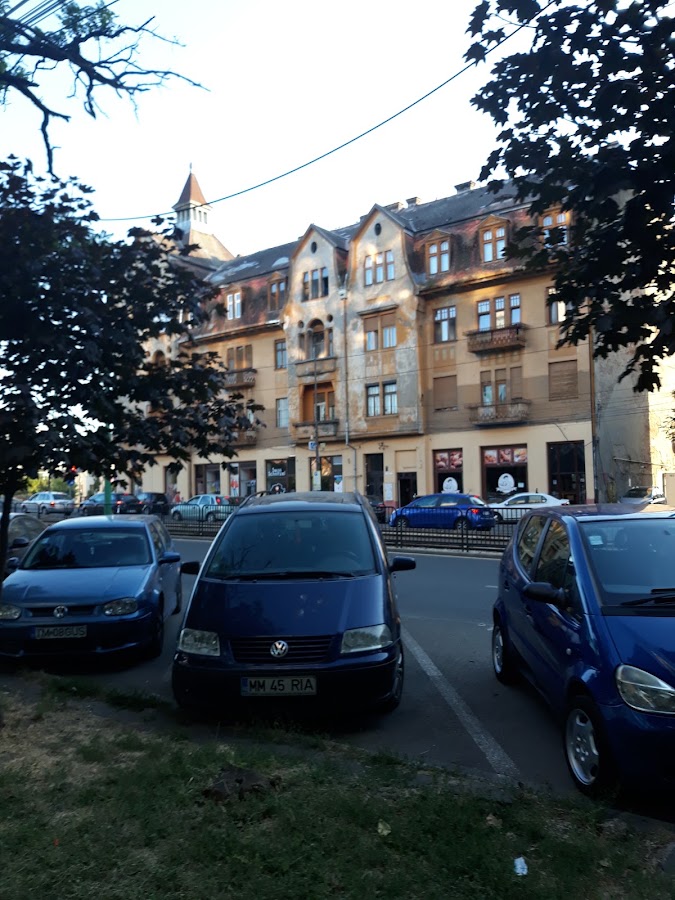 Photo de Palatul Martin Gemeinhardt