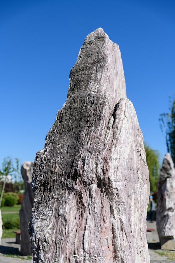 Foto di Circle Of Stones