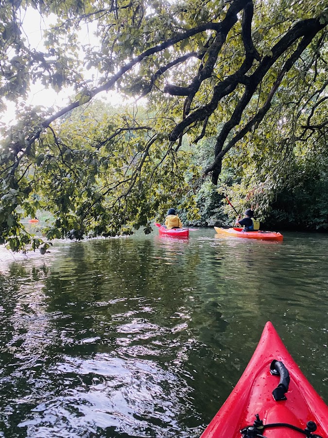 Photo de Kayaks sur la Bega @ Vertical Adventure