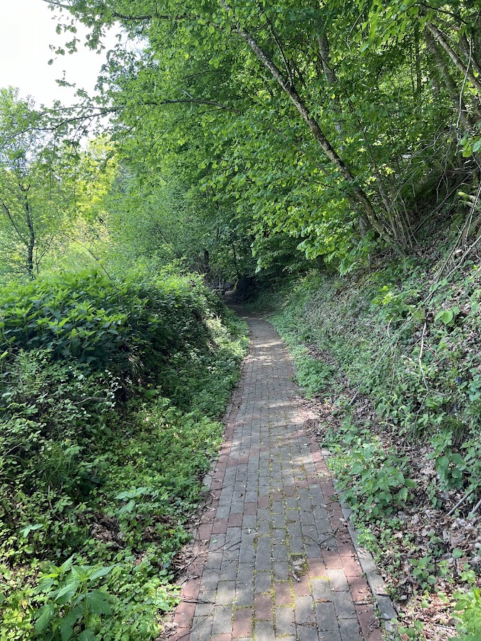 Foto di Parc Aventura Nadrag