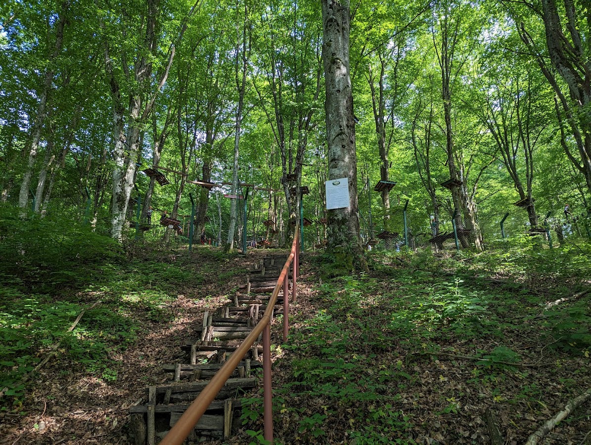 Foto di Parc Aventura Nadrag