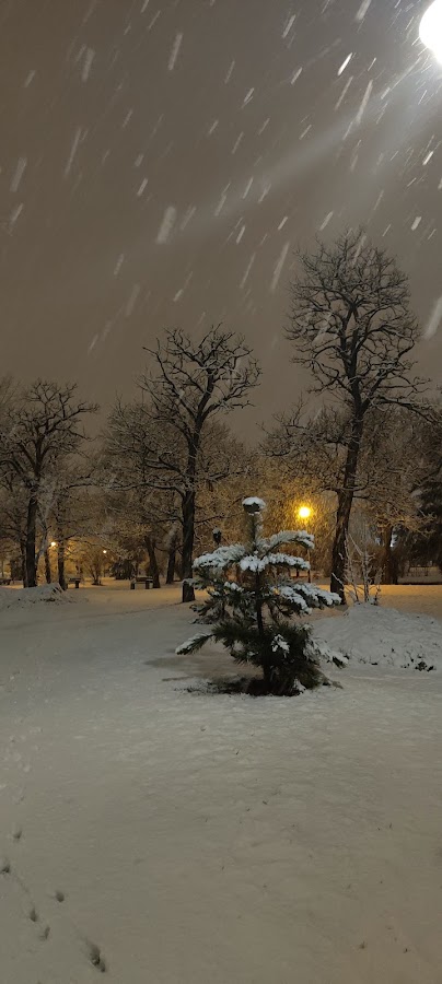 Fotografie de Parc Pădurice