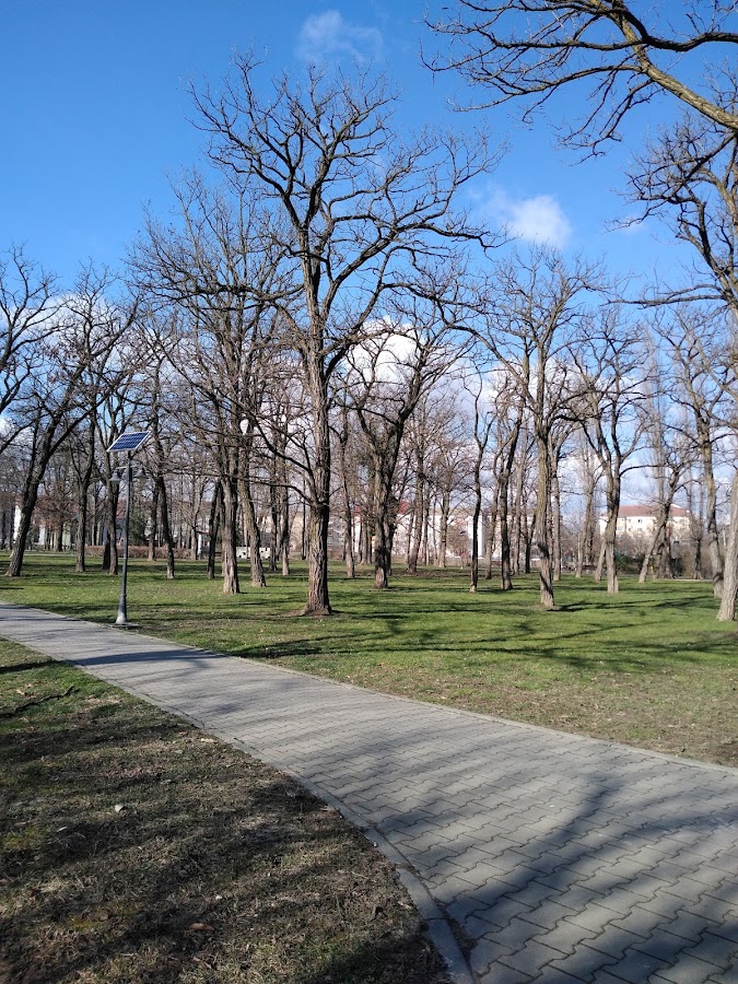 Fotografie de Parc Pădurice