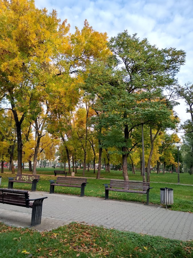 Photo de Parcul Lidia