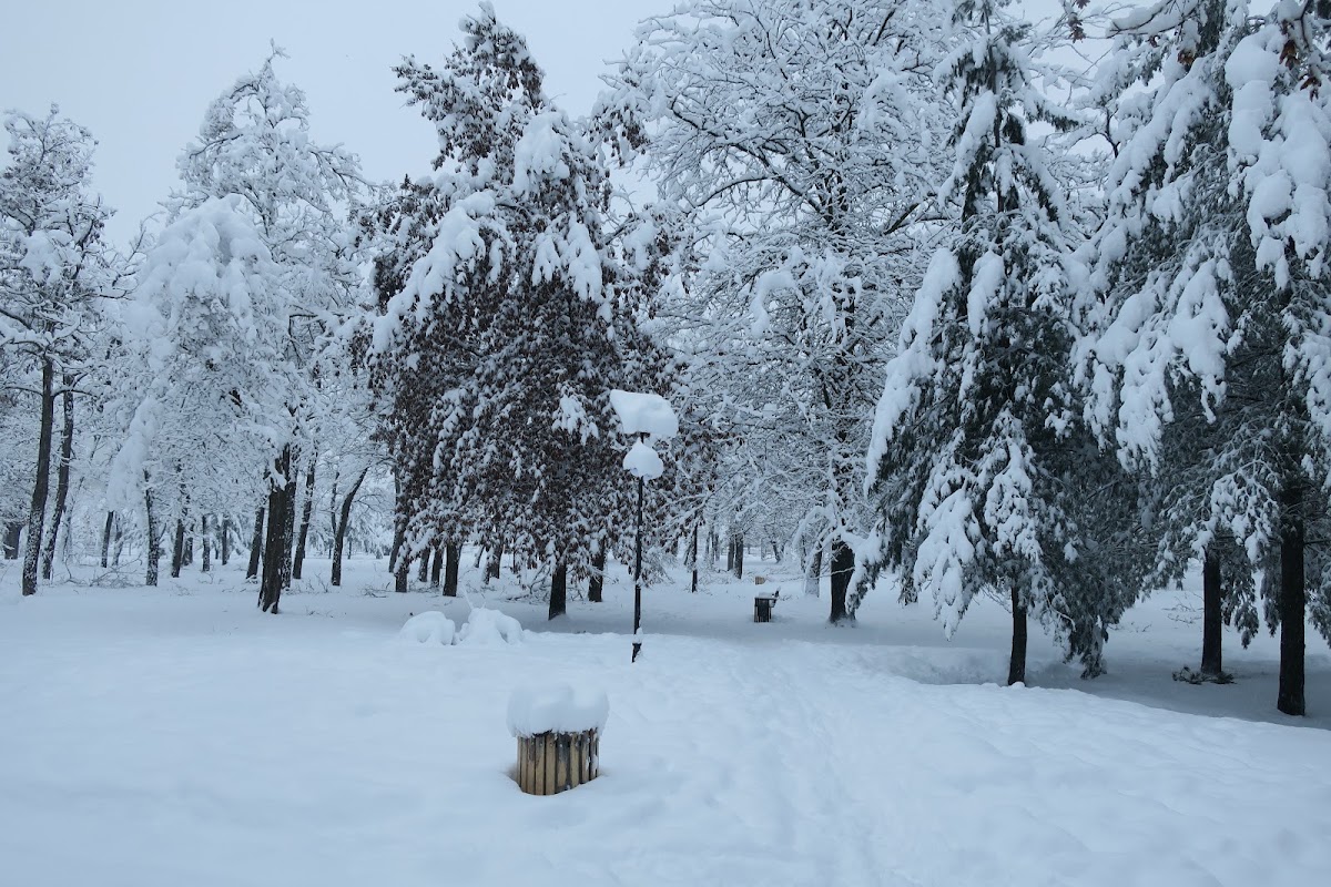 Photo de Parcul Lidia