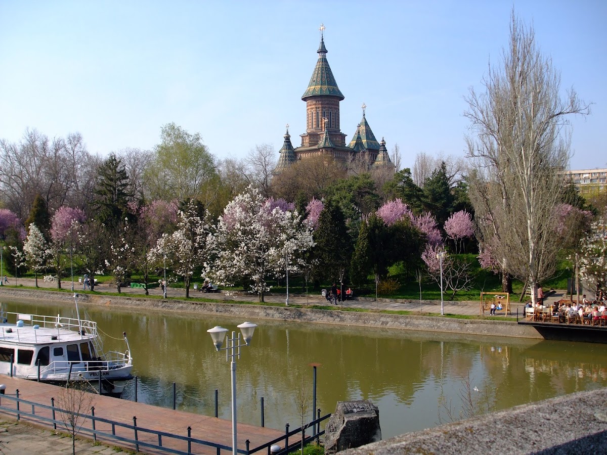 Photo of Parcul Alpinet