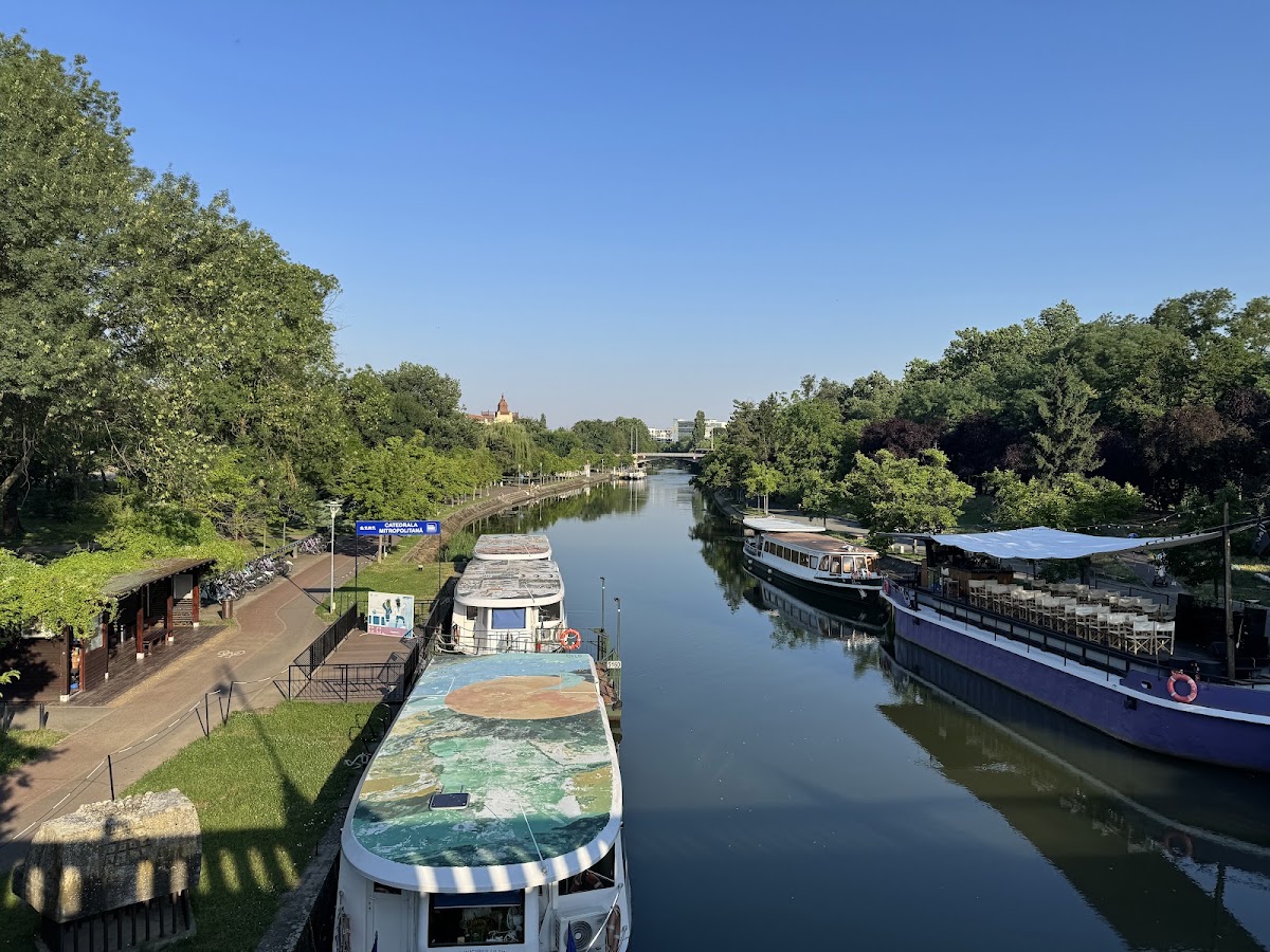 Photo of Parcul Alpinet