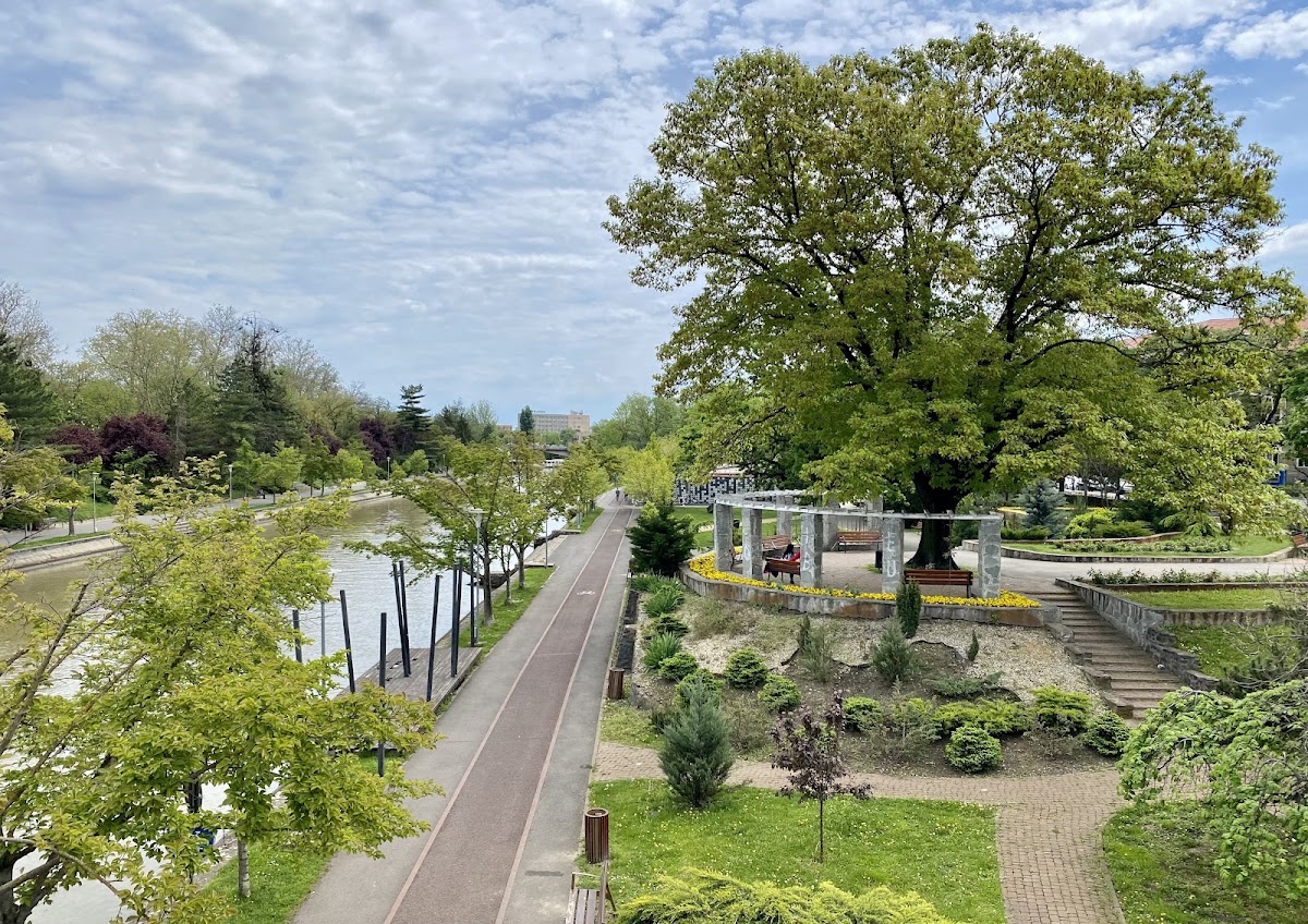 Photo of Parcul Alpinet